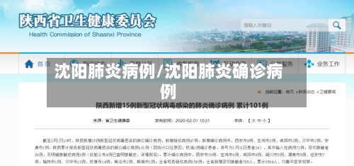 沈阳肺炎病例/沈阳肺炎确诊病例-第3张图片