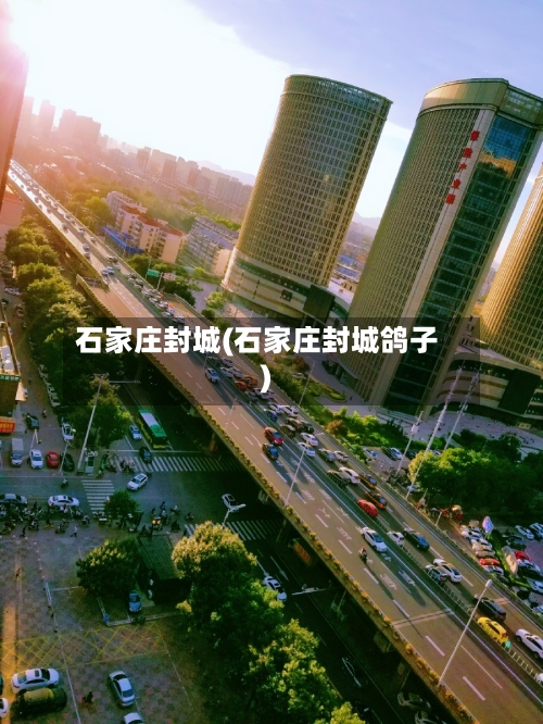 石家庄封城(石家庄封城鸽子)