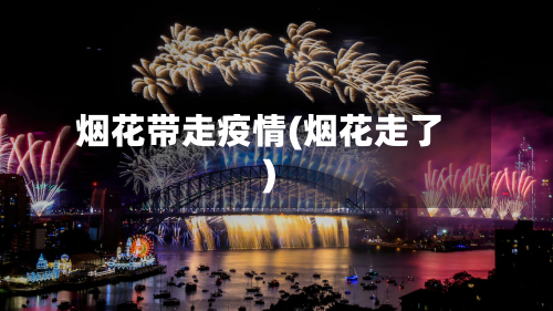 烟花带走疫情(烟花走了)-第2张图片