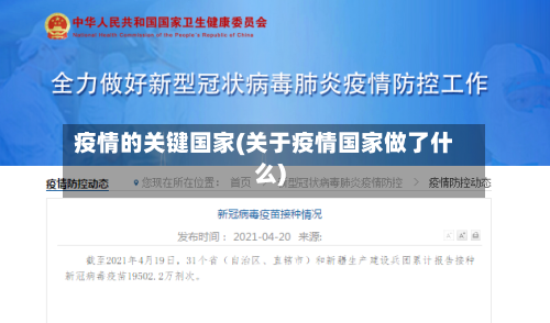 疫情的关键国家(关于疫情国家做了什么)