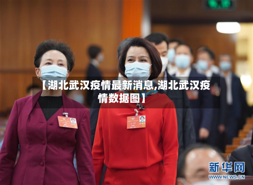 【湖北武汉疫情最新消息,湖北武汉疫情数据图】-第2张图片