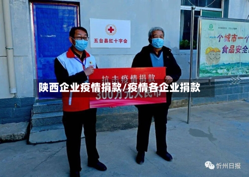 陕西企业疫情捐款/疫情各企业捐款