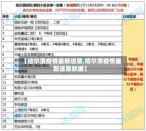 【哈尔滨疫情最新进展,哈尔滨疫情最新进展数据】-第2张图片
