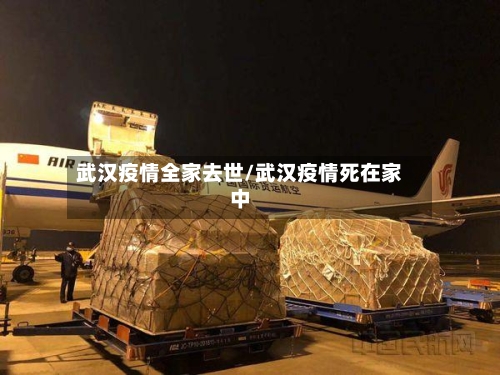 武汉疫情全家去世/武汉疫情死在家中