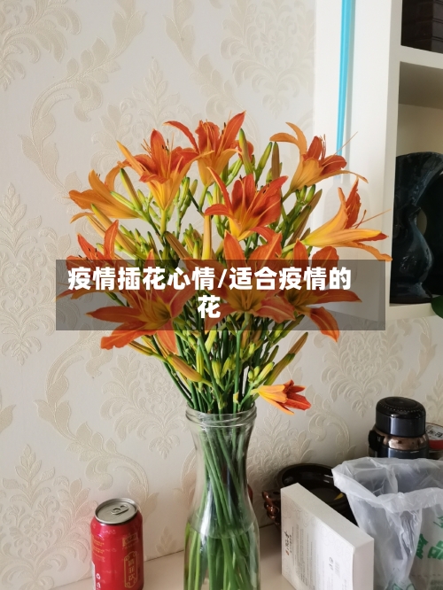 疫情插花心情/适合疫情的花-第2张图片