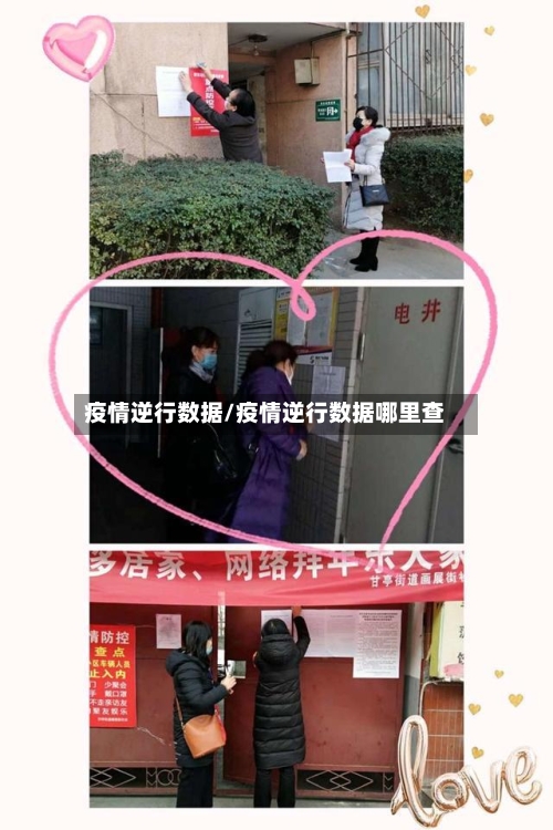 疫情逆行数据/疫情逆行数据哪里查-第2张图片