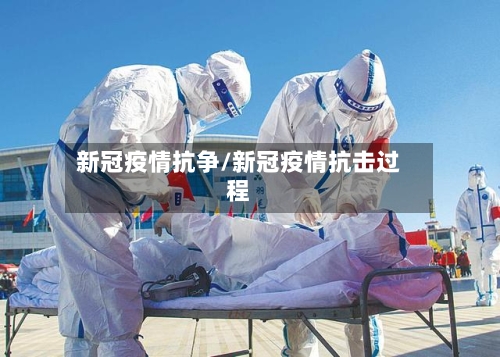 新冠疫情抗争/新冠疫情抗击过程-第2张图片