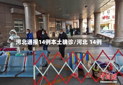 河北通报14例本土确诊/河北 14例