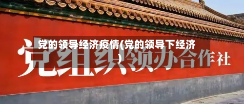 党的领导经济疫情(党的领导下经济)