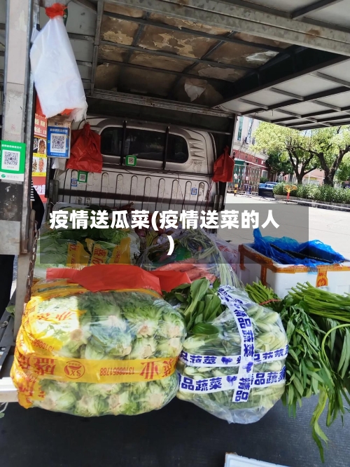 疫情送瓜菜(疫情送菜的人)-第2张图片