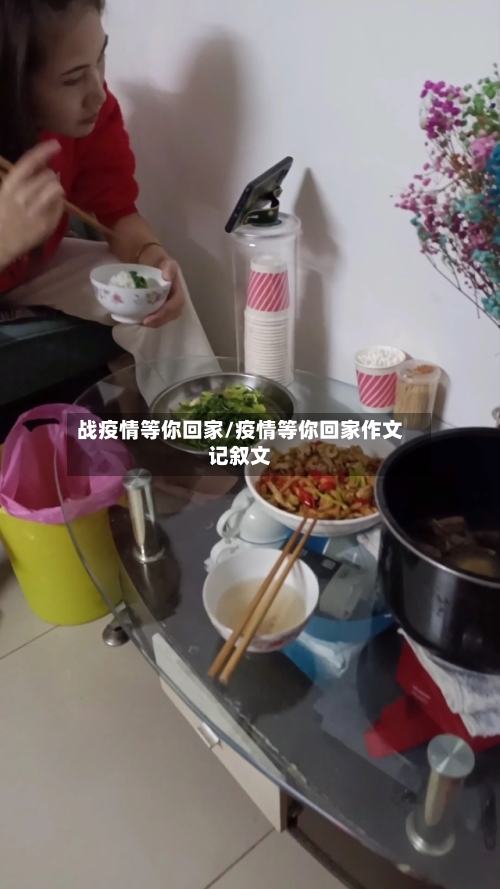 战疫情等你回家/疫情等你回家作文记叙文-第2张图片