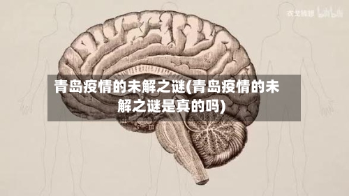 青岛疫情的未解之谜(青岛疫情的未解之谜是真的吗)-第2张图片