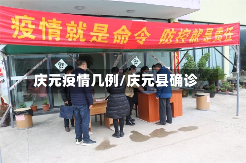 庆元疫情几例/庆元县确诊