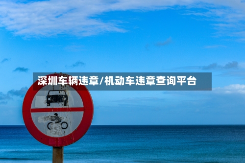 深圳车辆违章/机动车违章查询平台-第2张图片
