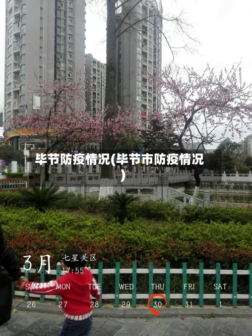 毕节防疫情况(毕节市防疫情况)-第2张图片