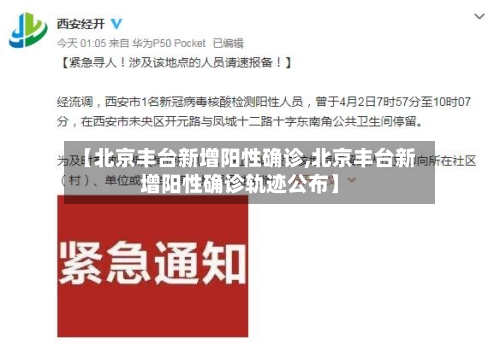 【北京丰台新增阳性确诊,北京丰台新增阳性确诊轨迹公布】-第2张图片