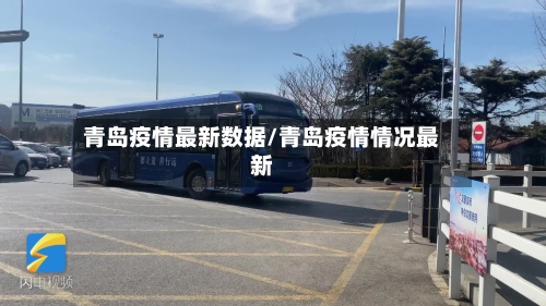 青岛疫情最新数据/青岛疫情情况最新-第3张图片