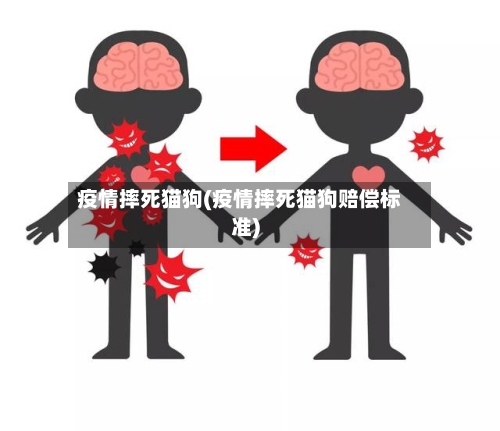 疫情摔死猫狗(疫情摔死猫狗赔偿标准)