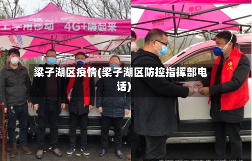 粱子湖区疫情(梁子湖区防控指挥部电话)-第2张图片