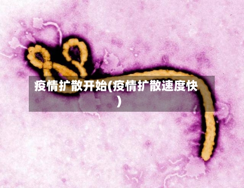 疫情扩散开始(疫情扩散速度快)-第3张图片