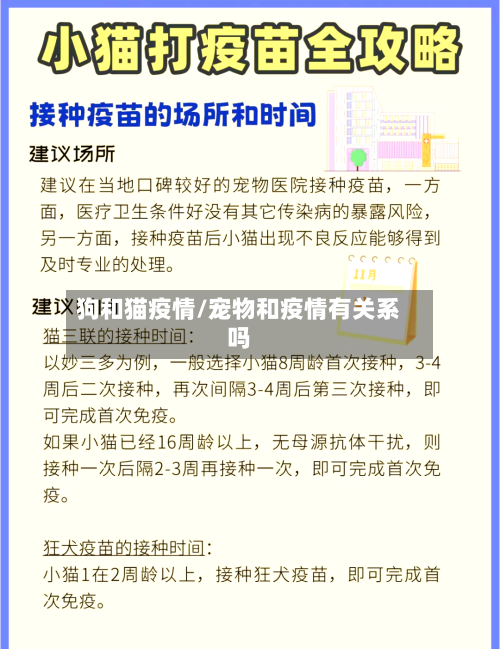 狗和猫疫情/宠物和疫情有关系吗