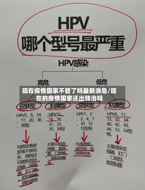 现在疫情国家不管了吗最新消息/现在的疫情国家还出钱治吗-第3张图片