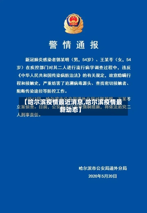 【哈尔滨疫情最近消息,哈尔滨疫情最新动态】-第2张图片