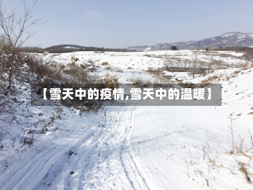 【雪天中的疫情,雪天中的温暖】