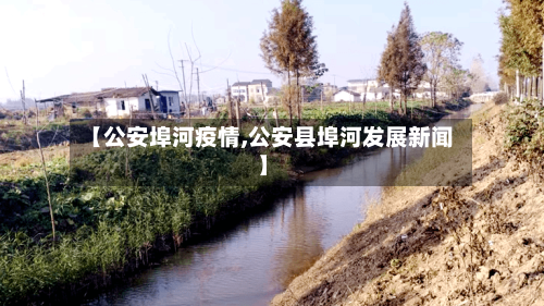 【公安埠河疫情,公安县埠河发展新闻】