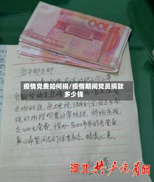 疫情党费如何捐/疫情期间党员捐款多少钱