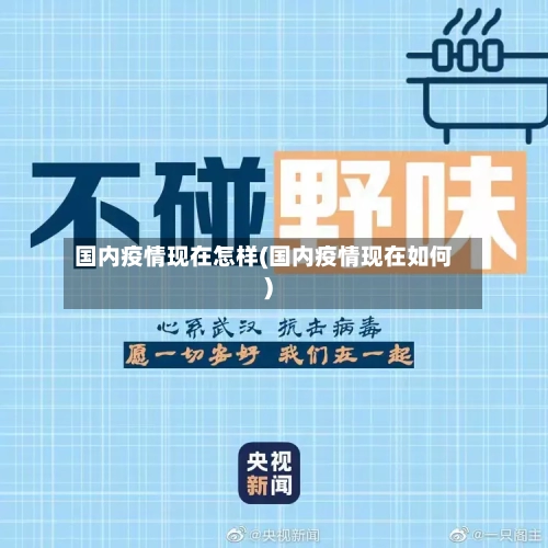 国内疫情现在怎样(国内疫情现在如何)-第2张图片
