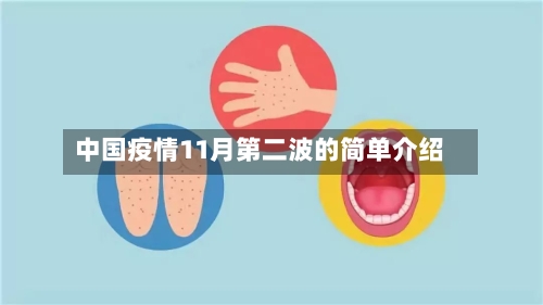 中国疫情11月第二波的简单介绍