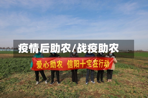疫情后助农/战疫助农-第3张图片