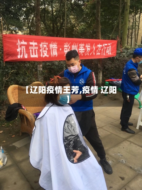 【辽阳疫情王芳,疫情 辽阳】