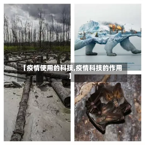【疫情使用的科技,疫情科技的作用】-第2张图片