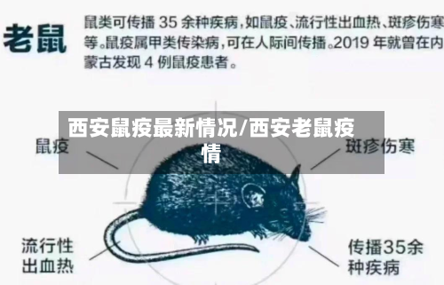 西安鼠疫最新情况/西安老鼠疫情-第3张图片