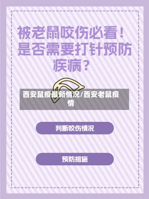 西安鼠疫最新情况/西安老鼠疫情-第2张图片