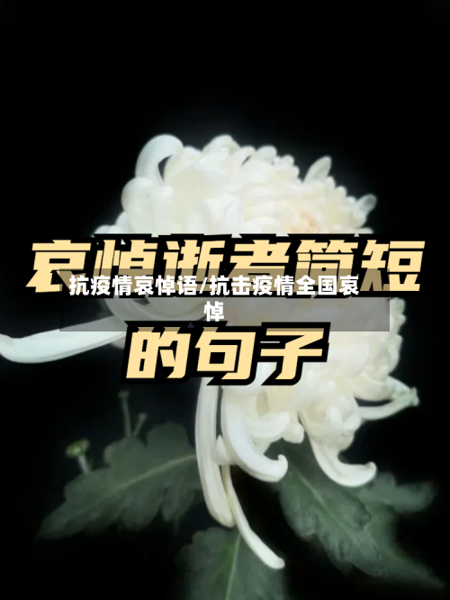 抗疫情哀悼语/抗击疫情全国哀悼