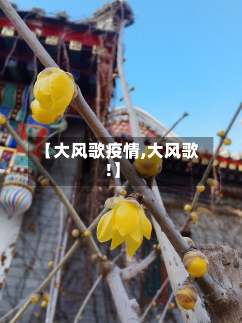 【大风歌疫情,大风歌!】