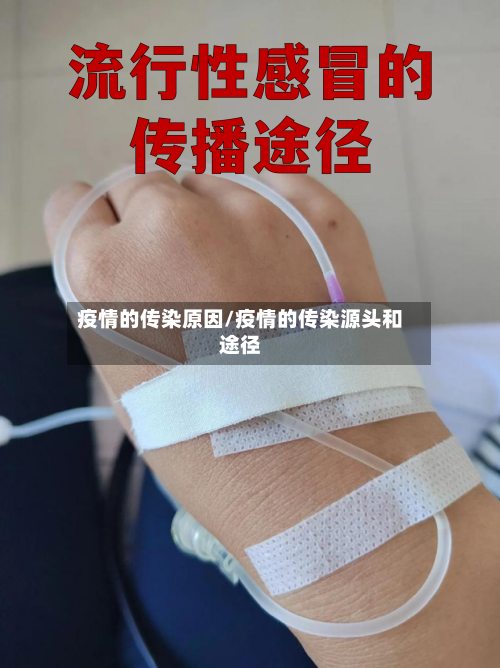 疫情的传染原因/疫情的传染源头和途径-第1张图片