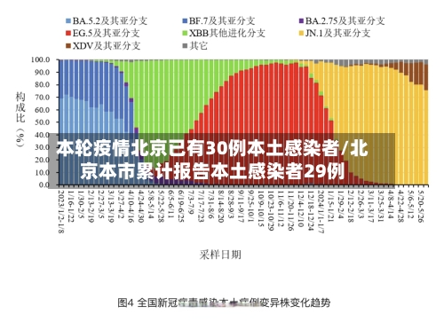 本轮疫情北京已有30例本土感染者/北京本市累计报告本土感染者29例