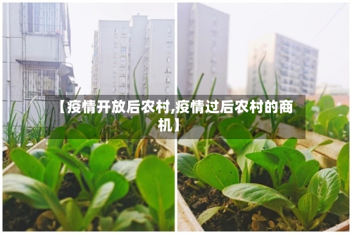 【疫情开放后农村,疫情过后农村的商机】