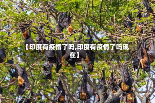 【印度有疫情了吗,印度有疫情了吗现在】-第2张图片