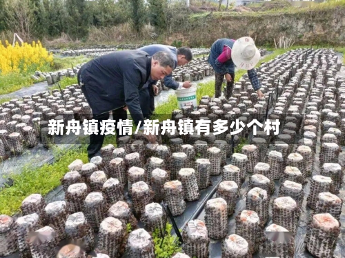 新舟镇疫情/新舟镇有多少个村