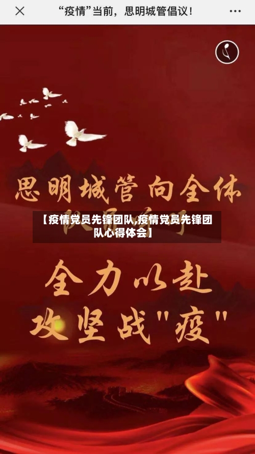 【疫情党员先锋团队,疫情党员先锋团队心得体会】