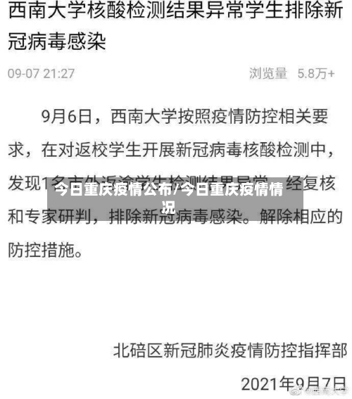 今日重庆疫情公布/今日重庆疫情情况-第2张图片