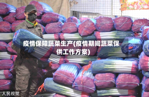 疫情保障蔬菜生产(疫情期间蔬菜保供工作方案)