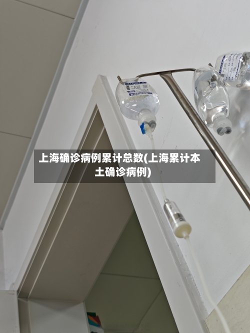 上海确诊病例累计总数(上海累计本土确诊病例)-第3张图片