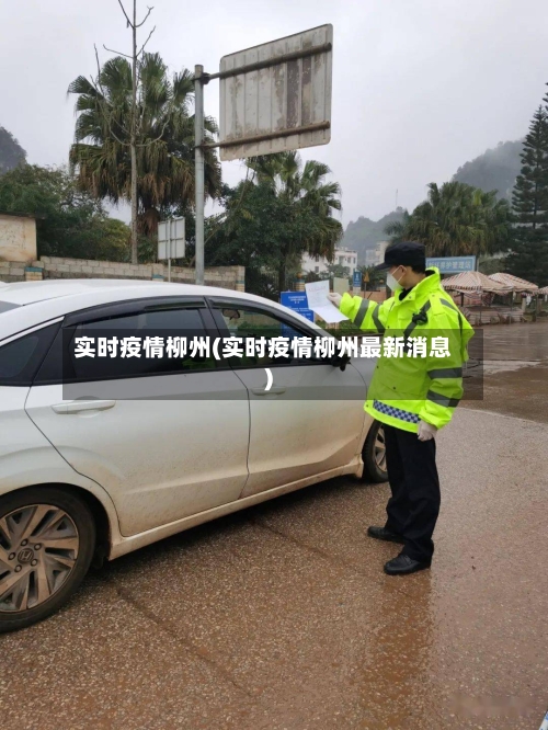 实时疫情柳州(实时疫情柳州最新消息)-第2张图片