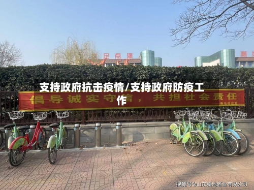 支持政府抗击疫情/支持政府防疫工作